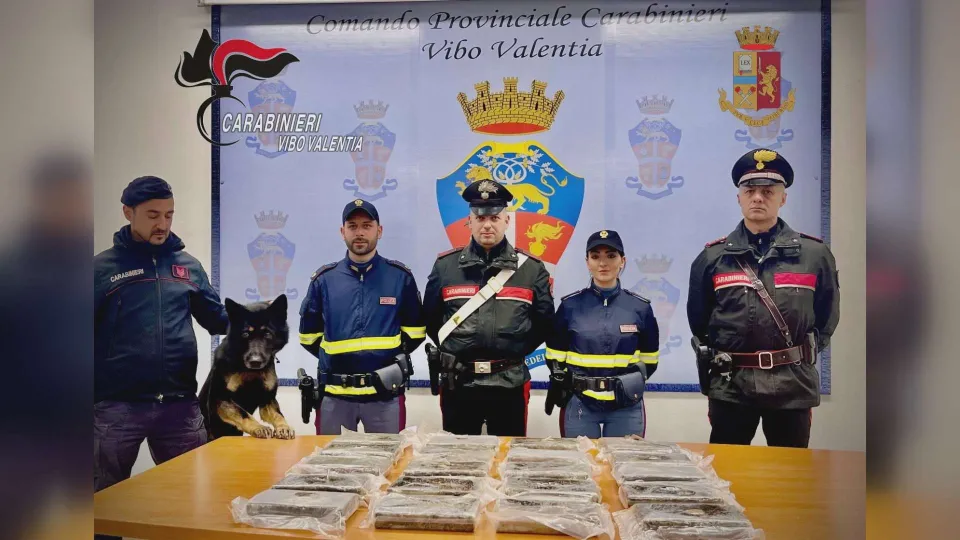 In auto con ventidue kg di cocaina: arrestato 41enne a Vibo