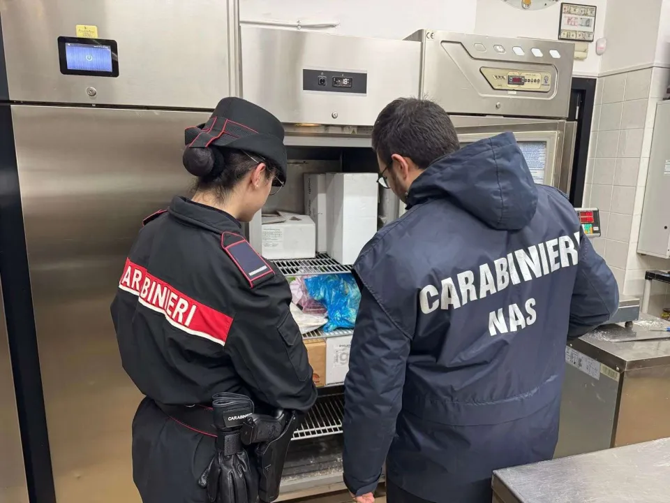 Controlli dei Carabinieri: sequestri alimentari e un arresto