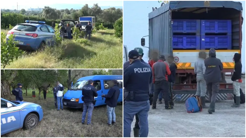 Contrasto al caporalato: sospese 27 aziende nella Piana di Gioia Tauro