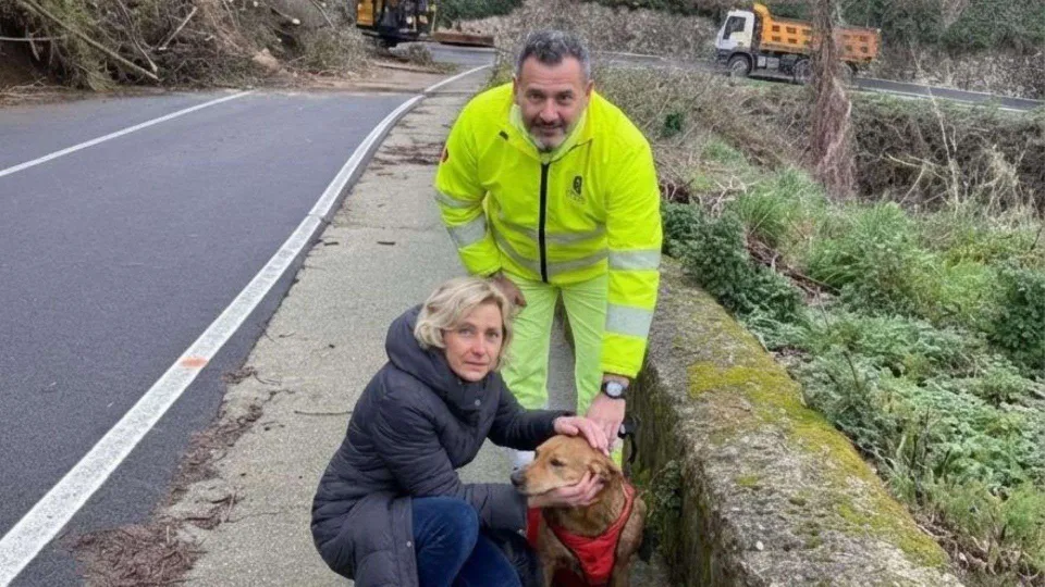 Strada Statale 19, cane salvato durante i lavori