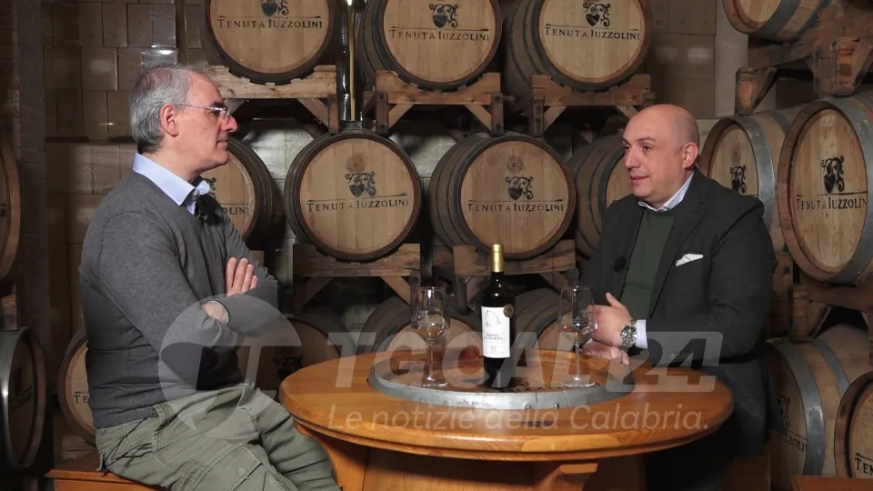 GLI SPECIALI DI VIDEO CALABRIA | Tenuta Iuzzolini sul trono d'Italia