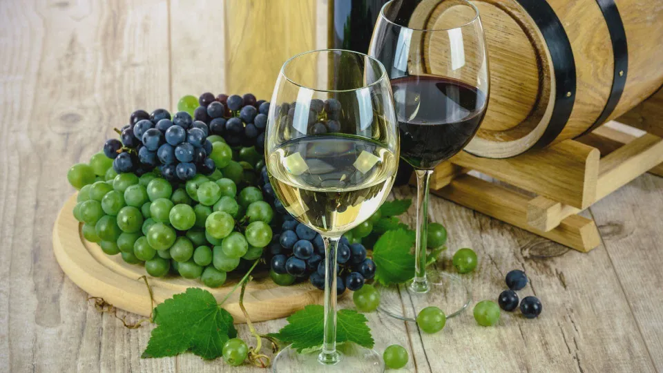 Vendemmia 2026, meno vino in Italia: la Calabria punta sulla qualità