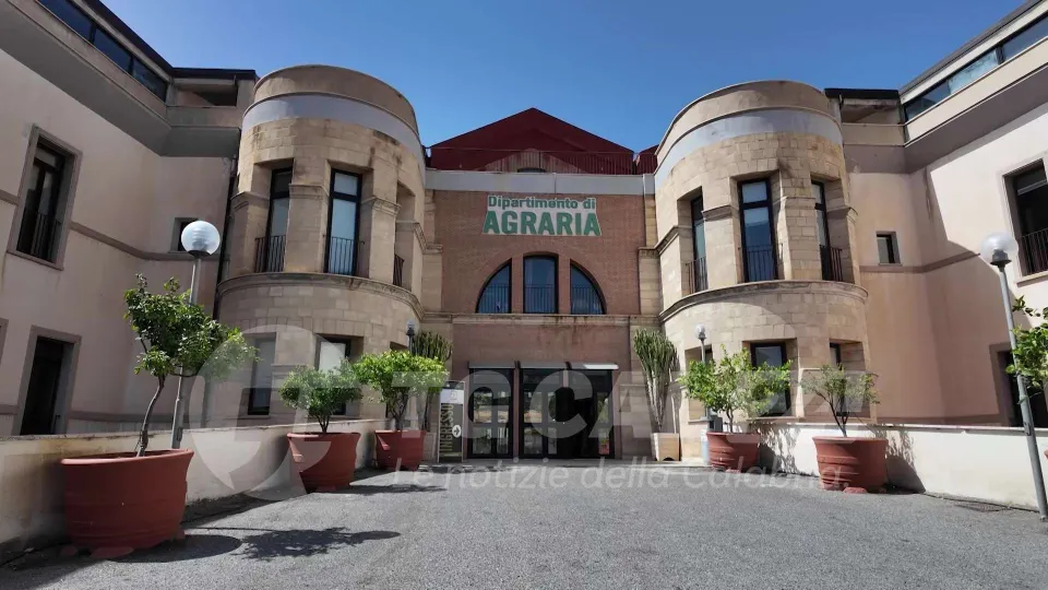 UniRC | Le novità per il nuovo anno accademico del Dipartimento di Agraria