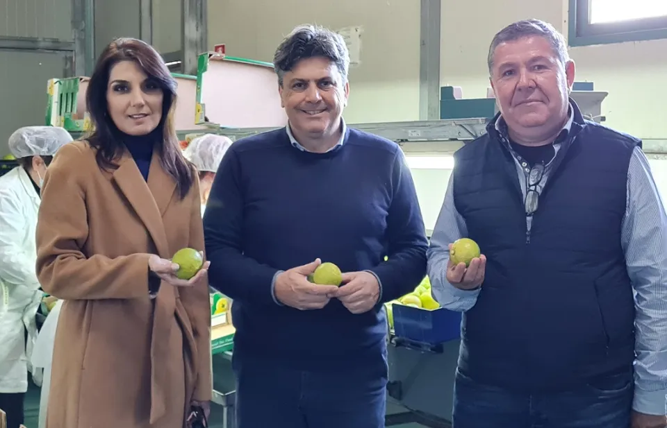 IO SCELGO CALABRIA in Tv – Bergamotto di Reggio Calabria, gli aromi superlativi e "magici" dell'olio essenziale