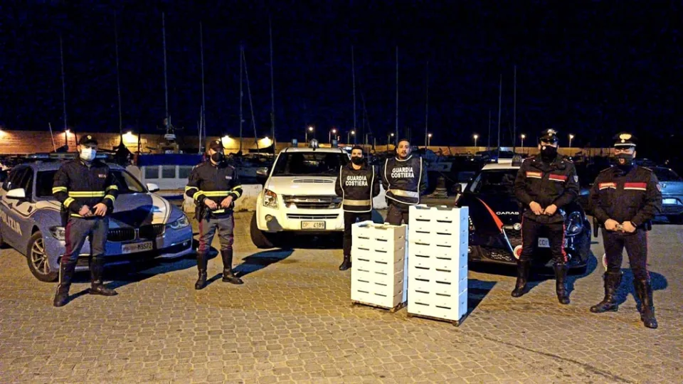 Crotone, sequestrata mezza tonnellata di novellame di sarda: multa salata per il trasportatore