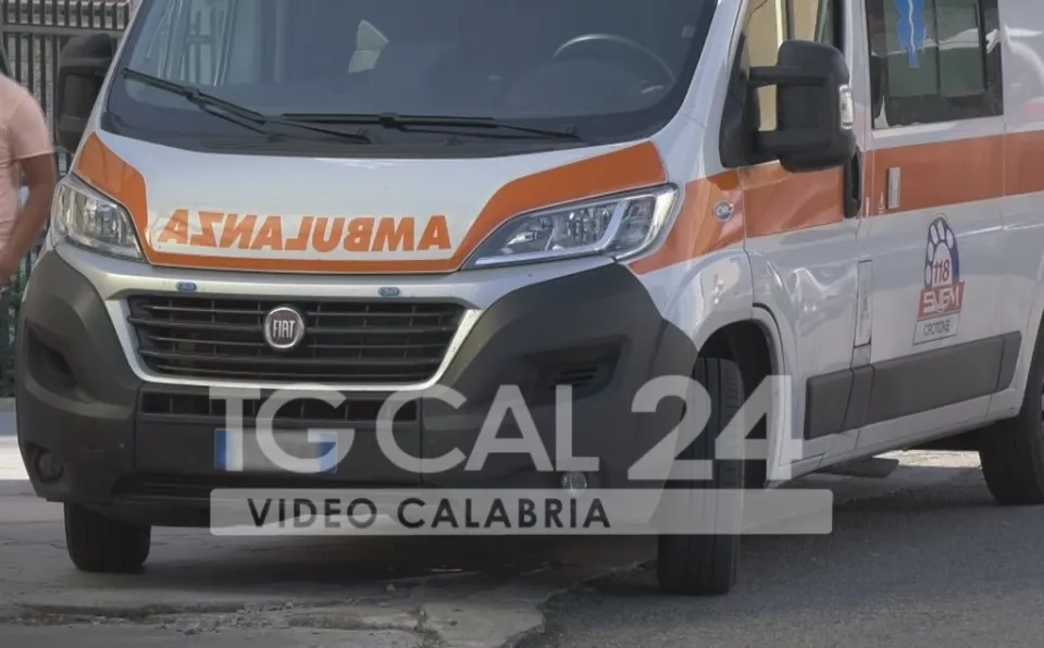 Tragedia nel Cosentino: pensionato cade da un albero e perde la vita per le ferite