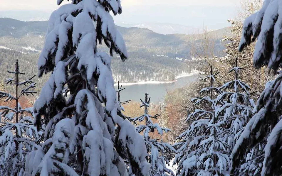 L'ondata di gelo porta la neve anche a bassa quota: panorami mozzafiato sulle alture e nei centri abitati - FOTO