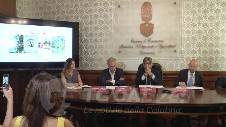 Evotasting 2025: un bando per portare in tavola l'olio calabrese di qualità