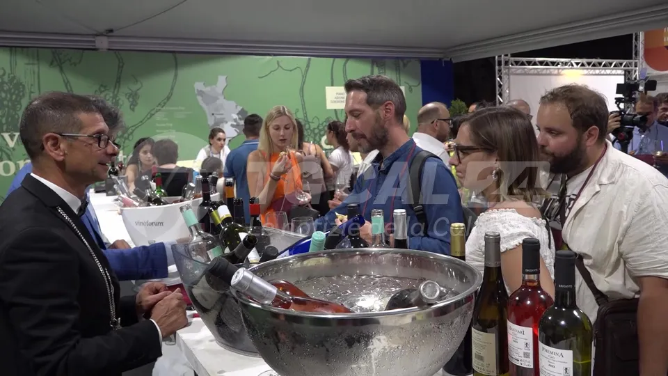 GLI SPECIALI DI VIDEO CALABRIA | Vinòforum 2024: eccellenze calabresi a Roma