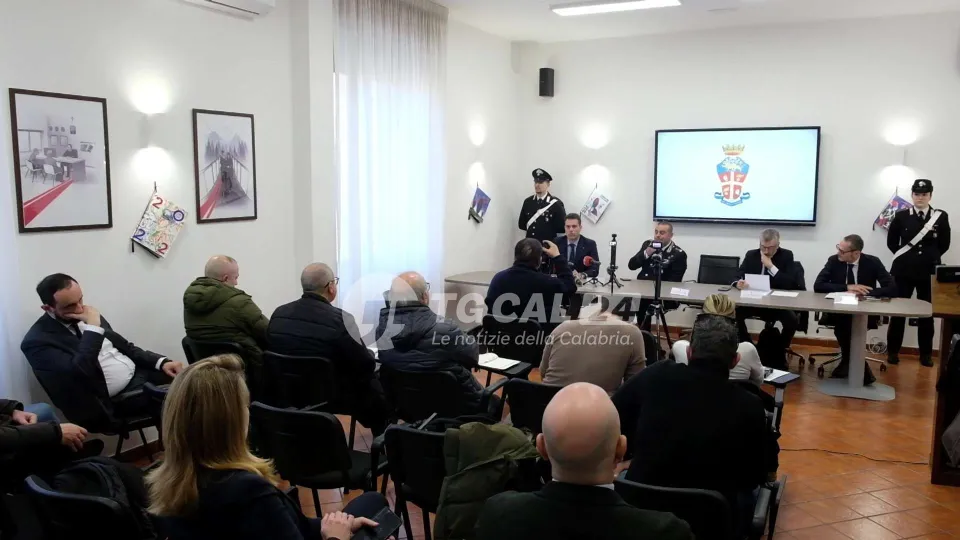 'Ndrangheta, operazione "Risiko": sette arresti tra Calabria e Stati Uniti