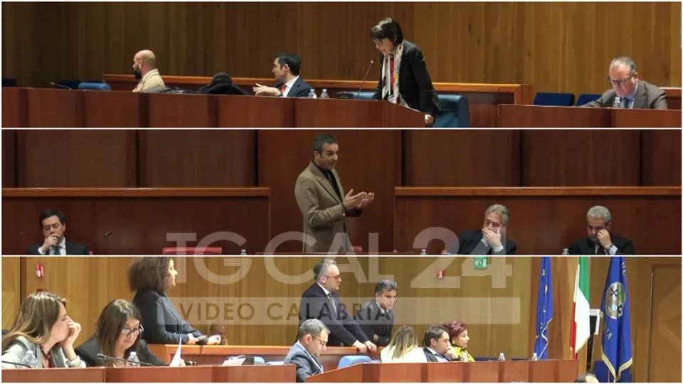 Riforma della Protezione Civile, precari ai Comuni ed osservatorio sull'autismo: i provvedimenti del Consiglio Regionale
