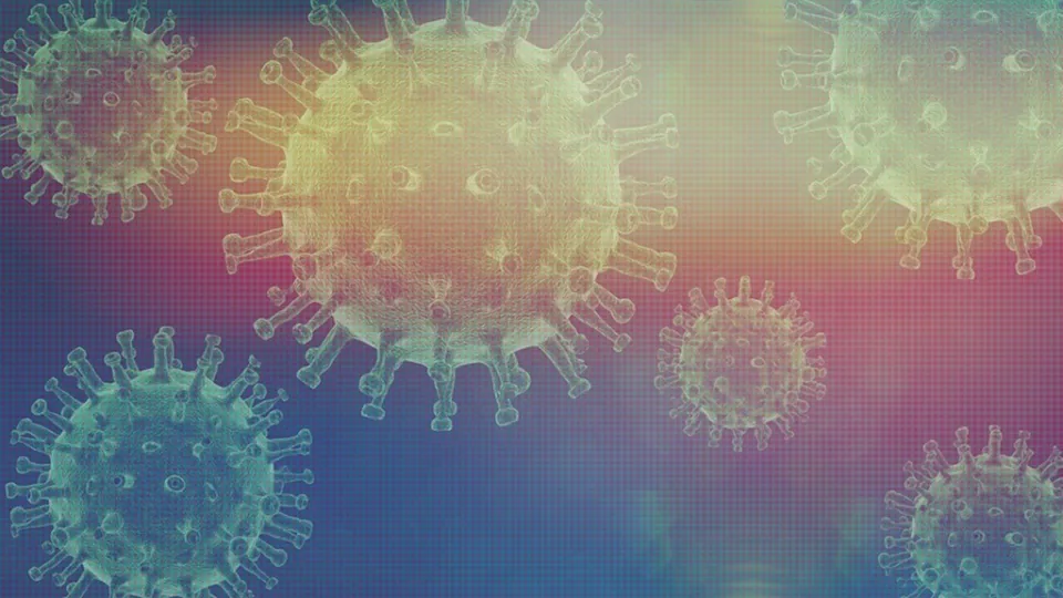 Coronavirus, in Calabria 234 nuovi casi positivi e 2 decessi: il bollettino della Regione del 24 agosto