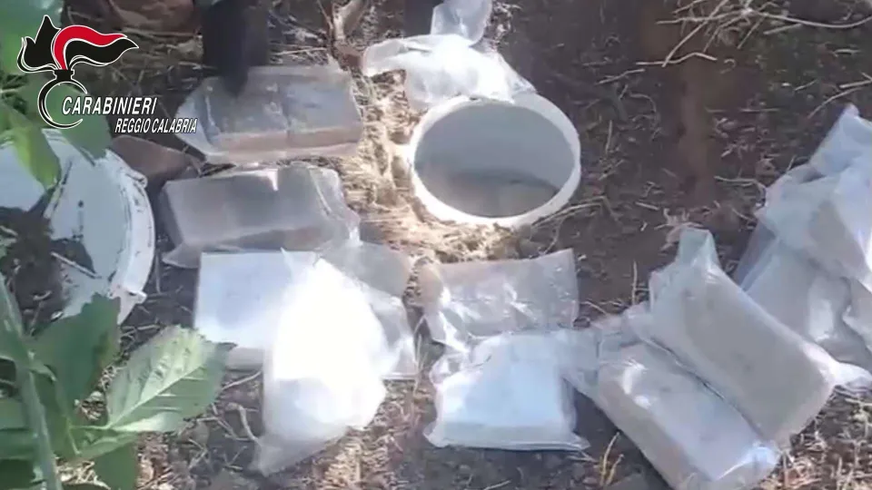 Maxi sequestro di droga sotterrata: oltre 45.000 dosi pronte per lo spaccio