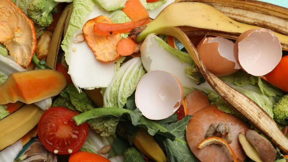 Spreco alimentare, passi avanti ma numeri ancora critici