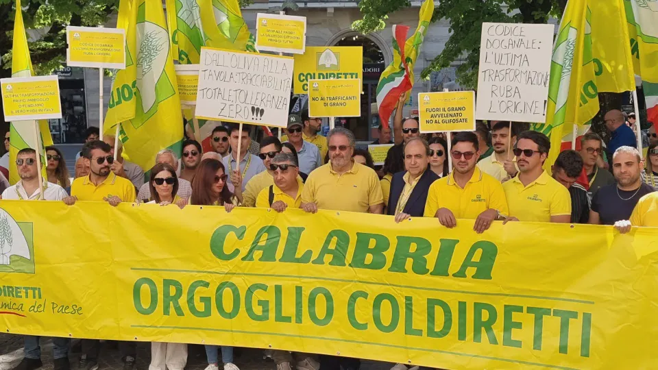 Olio e grano sotto pressione, Coldiretti: “Stop alle speculazioni”