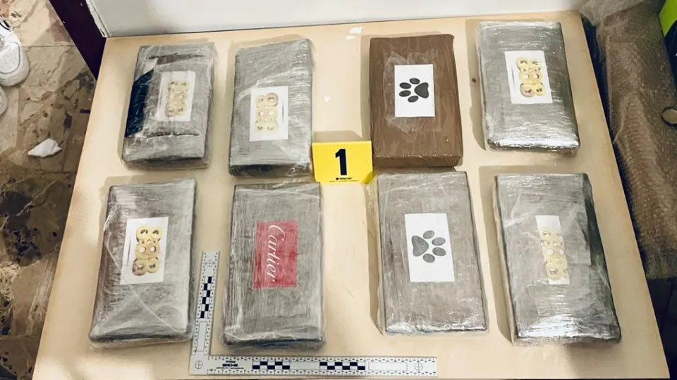 Scoperto laboratorio di cocaina in una casa nella Locride: sequestrati 34 chili di droga