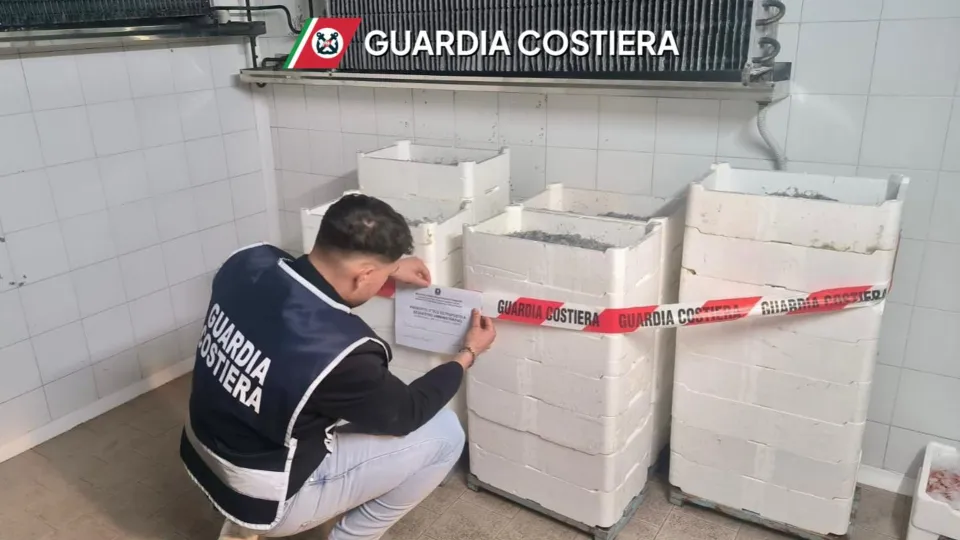 Sequestrati due quintali di bianchetto nel crotonese
