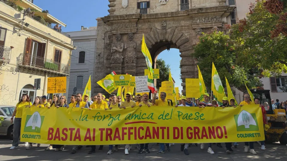 Coldiretti Calabria: difendere il grano italiano e rilanciare la filiera del Sud