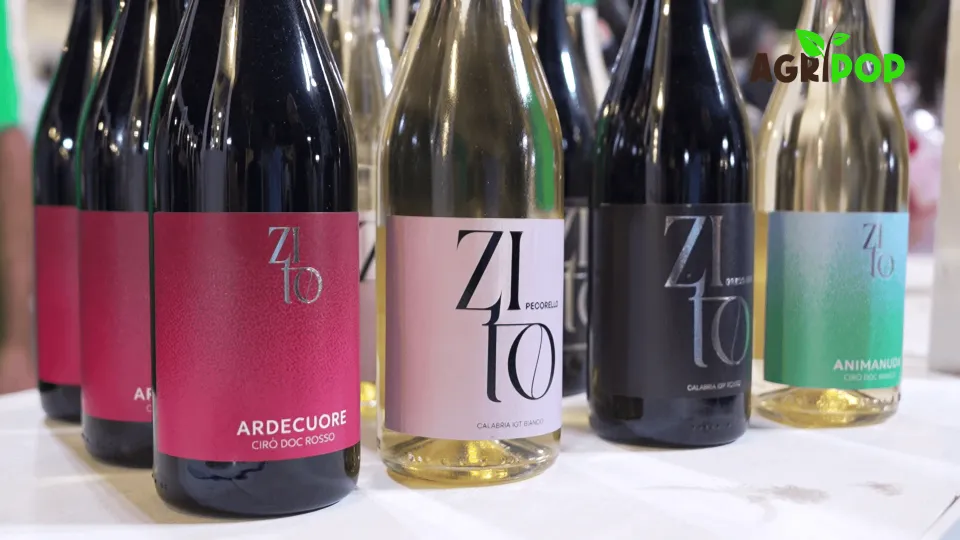 Cantine Zito, missione rebranding