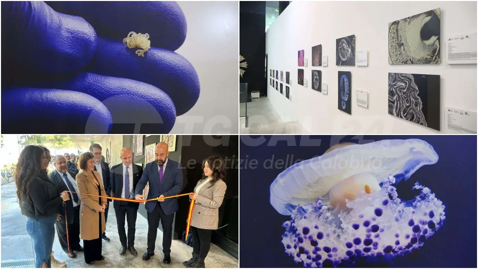 "Fotciencia20": scienza e tecnologie in 49 scatti al Museo di Pitagora