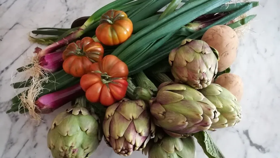 Ripartire con una corretta alimentazione post-festività: i consigli della nutrizionista