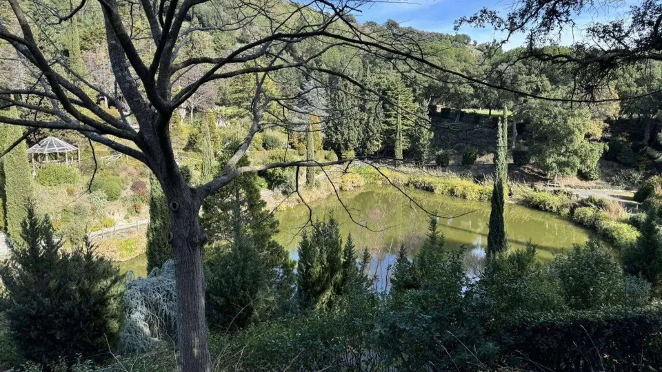 Da Calabria Verde un bando per 15 Piani di gestione forestale