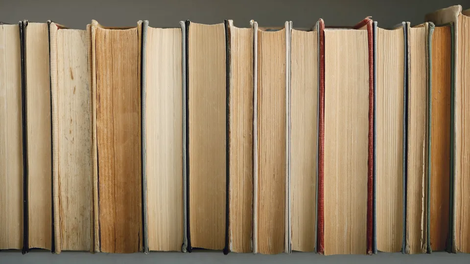 E' Taurianova la Capitale italiana del libro 2024