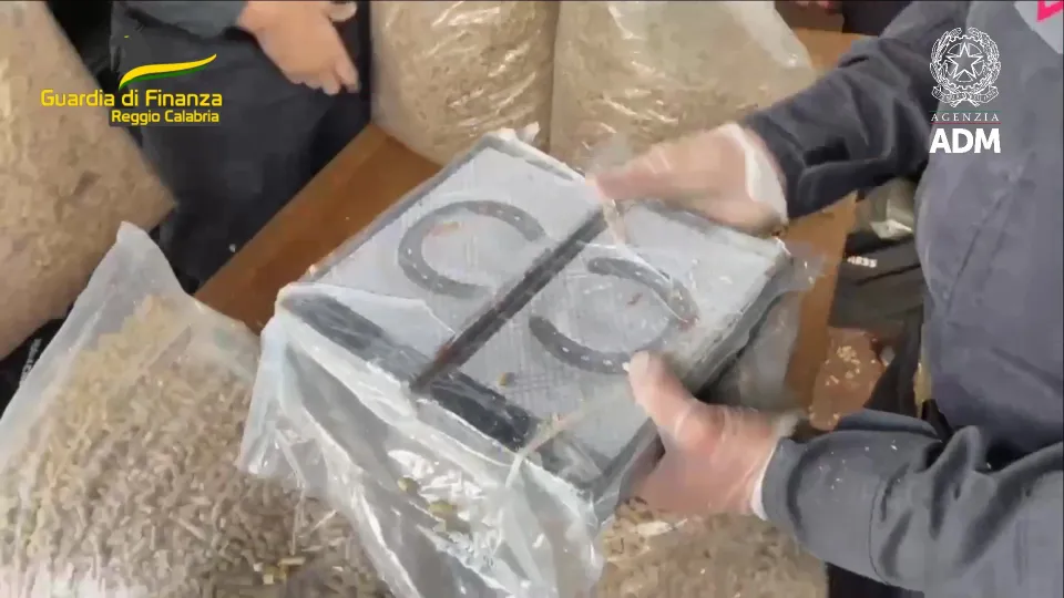 Sequestrata oltre una tonnellata di cocaina al porto di Gioia Tauro