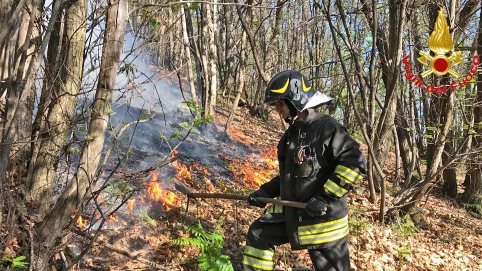 "Tolleranza zero": la Giunta licenzia il Piano antincendi 2024