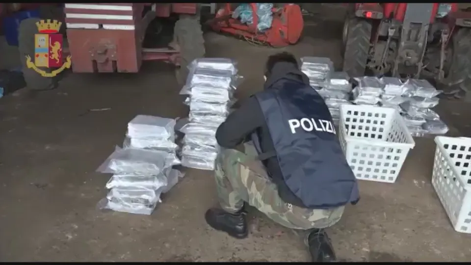 'Ndrangheta, arrestato il figlio del boss con oltre mezza tonnellata di cocaina (VIDEO)