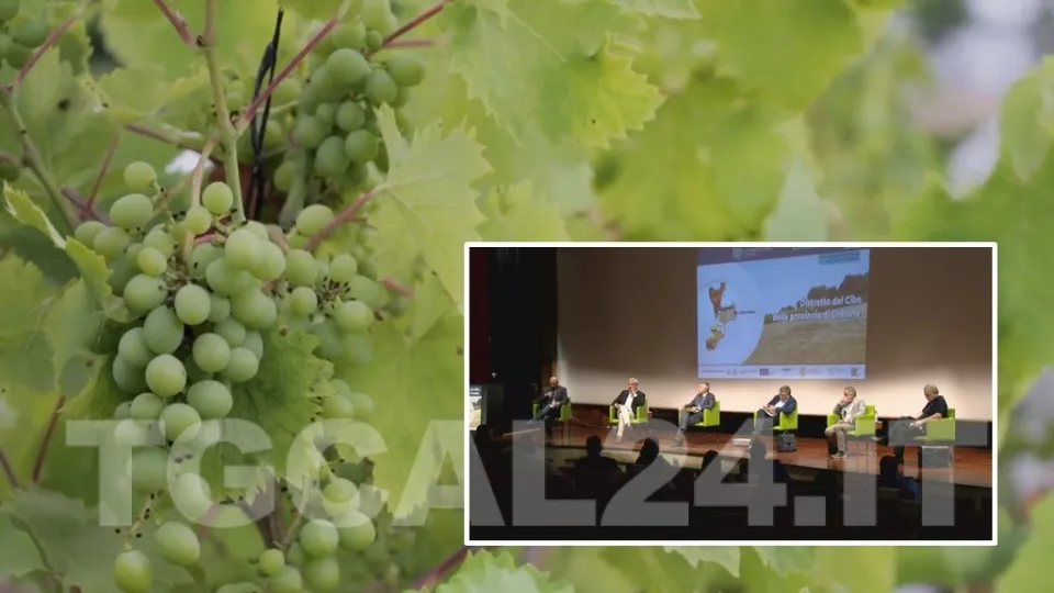 Lo sviluppo del turismo nel Crotonese passa dalle eccellenze dell'agroalimentare (VIDEO)
