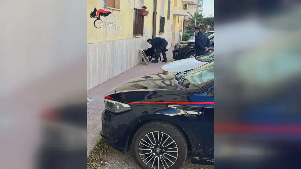 Scoperte nel Cosentino case popolari occupate abusivamente