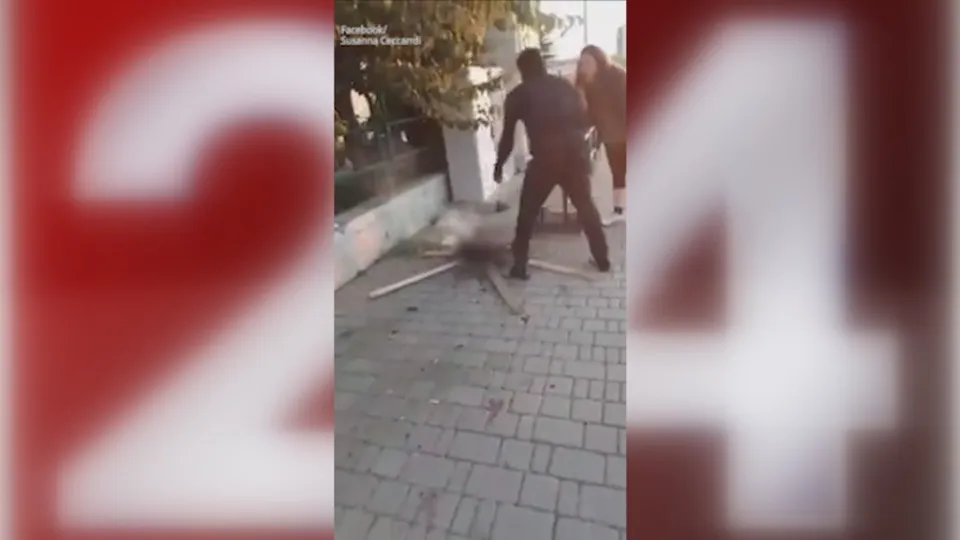 Ragazzo arrostisce gatto tra le urla di una passante nel Livornese (VIDEO)