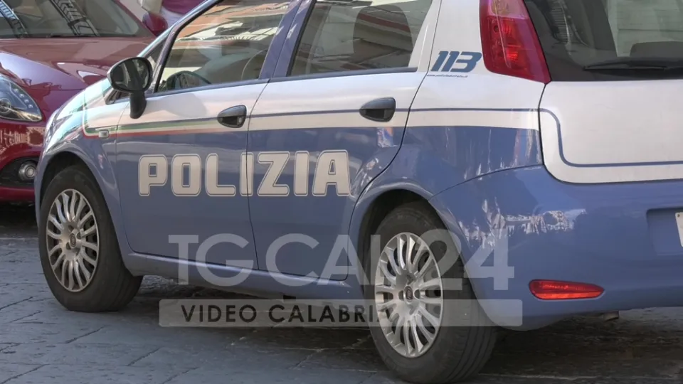 Sequestrati 240 chili di marijuana a Santa Sofia d'Epiro: arrestate 4 persone