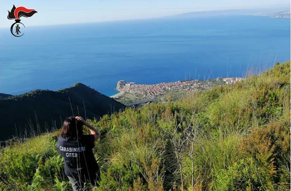 Operazione Adorno: attività antibracconaggio sullo Stretto di Messina, corridoio della migrazione degli uccelli