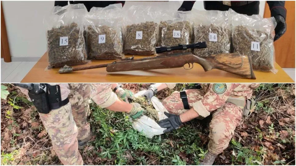 Sequestrati quasi 9 kg di marijuana ed armi nel Reggino